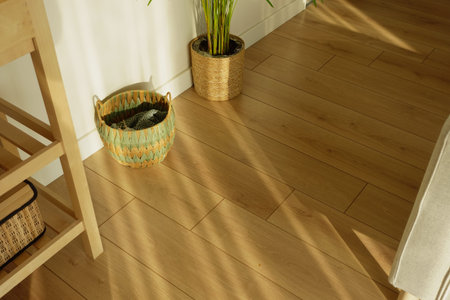 Sunlight and plants in a home interior during the day