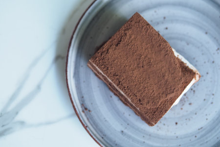 Chocolate dessert on a round plate with a light background