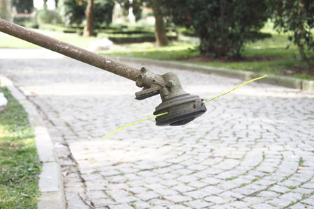 Grass trimmer is ready for work in a garden area