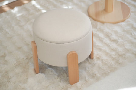 Round ottoman sits on a rug in a bright room