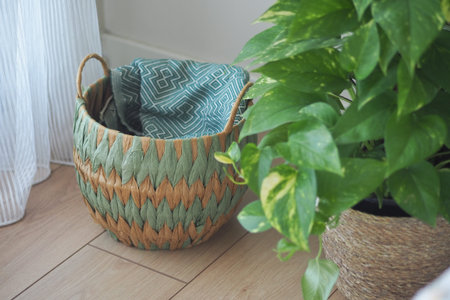 Decorative storage basket next to a green plant
