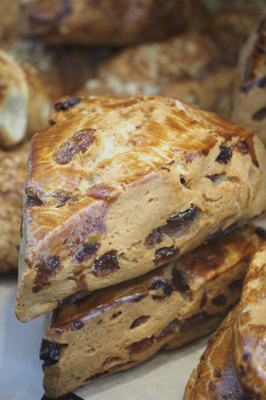 Freshly baked scones with raisins on display