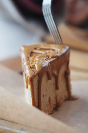 Delicious dessert slice with caramel drizzle on a plate