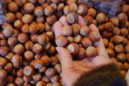 Hand holds hazelnuts at market during daytime visitの写真素材