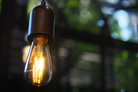 Bright light bulb hanging in a cozy setting with plants