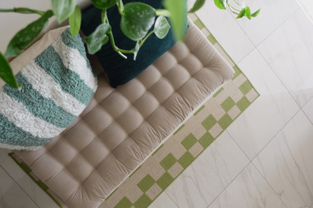 Cozy space with cushions and green plant on a mat