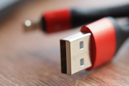 Close view of a USB cable with red connectors and metal tip