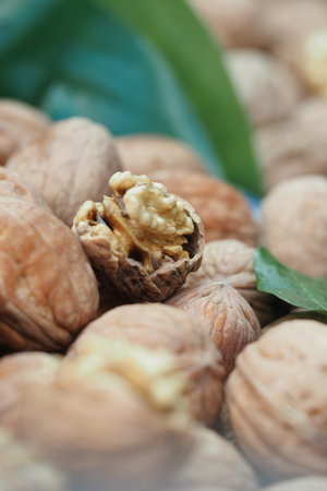 Walnuts on display with one shell broken open showing nut