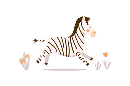 A small zebra in a cute black stripe runs along the road with flowers. Vector flat cartoon illustration with happy kawaii african baby zebra on white background for prints, stickers, cards and textilesのイラスト素材