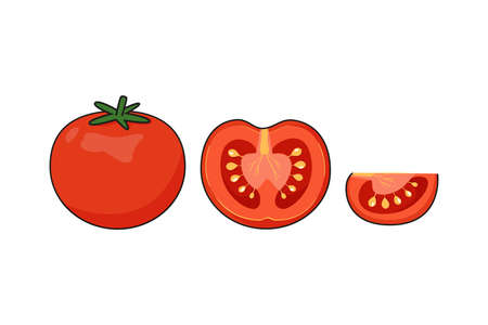Set of fresh red ripe tomatoes isolated on a white background. Vector illustration in cartoon style - seasonal summer vegetables cherry tomatoes, cut into slicesのイラスト素材