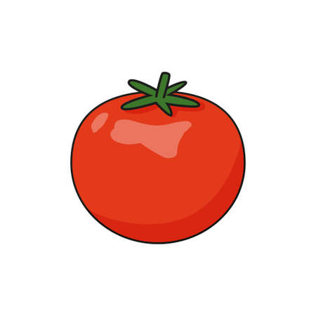 Vector tomato illustration. Cartoon pomodoro isolated on white backgroundのイラスト素材