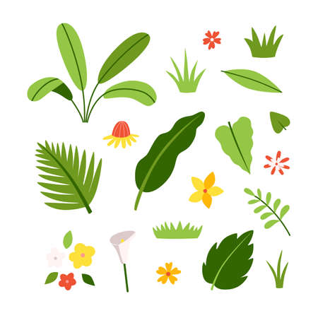 Set of flowers and leaves of exotic plants and trees. Tropical flora vector collection hand drawn in cartoon style and isolated on white backgroundのイラスト素材