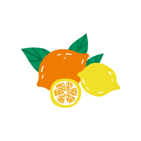 Tropical lemons hand drawn in doodle style and isolated on white background. vector illustrationのイラスト素材