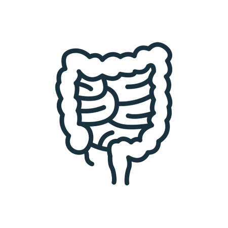 Colon Line Icon. Large Intestine Linear Pictogram. Internal Digestive Human Organ Outline Icon. Bowel Concept. Editable Stroke. Isolated Vector Illustrationのイラスト素材