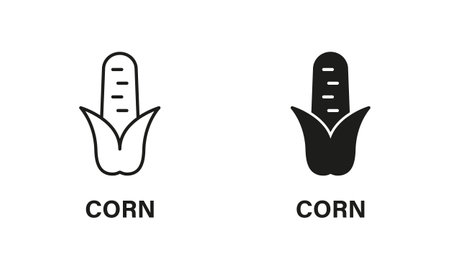 Corn Line and Silhouette Icon Set. Maize Grain Black Pictogram. Corncob Plant, Sweetcorn Symbol Collection on White Background. Healthy Nutrition Sign. Isolated Vector Illustrationのイラスト素材