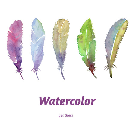 Watercolor feathers, hand drawn, colourful and lovely. Vectorのイラスト素材