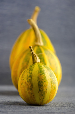 Decorative Halloween pumpkins on the table, health foodの写真素材
