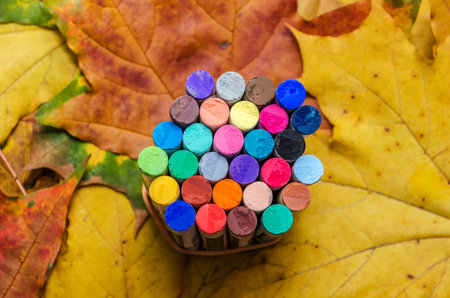 different colored pastel chalks on background of autumn yellow leaves