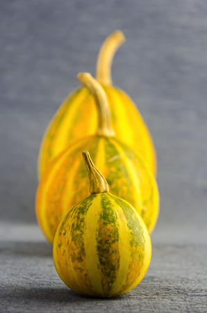 Decorative Halloween pumpkins on the table, health foodの写真素材