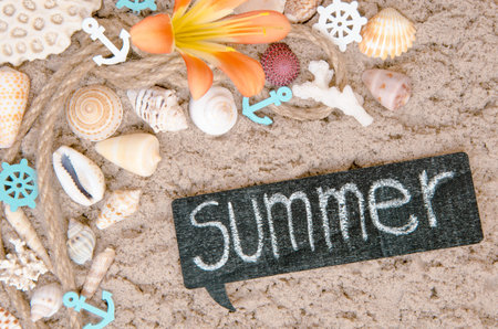 summer background with seashell on sand and other marine objects. Toned photoの写真素材