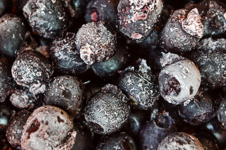 juicy and full of vitamins blueberries. Concept of healthy foodの写真素材