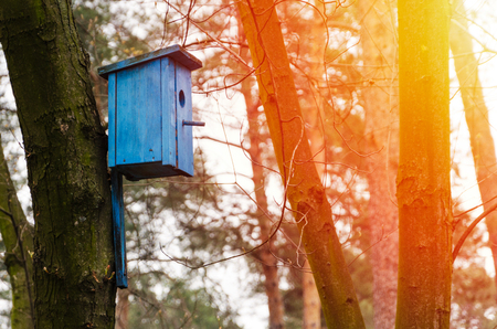 birdhouse hanging on treeの写真素材