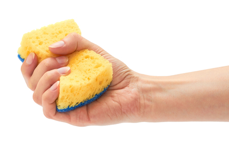 Female hand holds new and clean sponge for cleaning. Isolated on white backgroundの写真素材