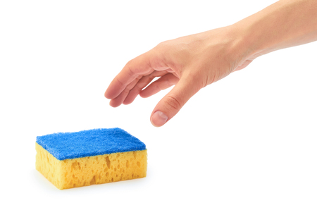 Female hand holds new and clean sponge for cleaning. Isolated on white backgroundの写真素材