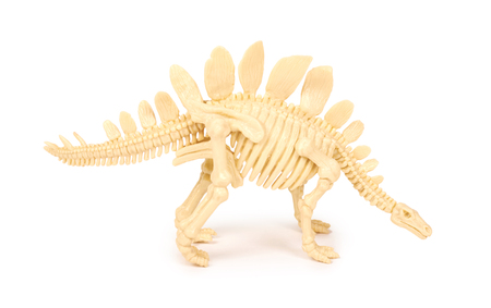 Plastic Toy Animal Dinosaur Skeleton isolated on white background.の写真素材