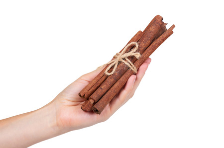 cinnamon stick spice in hand isolated on white background.の写真素材