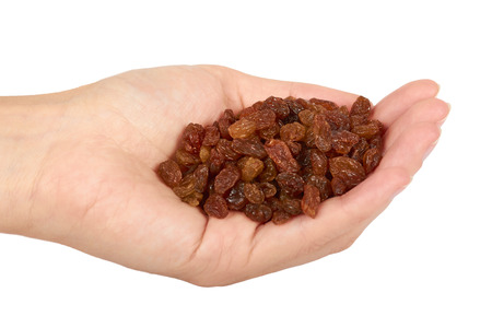 delicious and healthy raisins in hand isolated on white background, healthy sweet snack.の写真素材