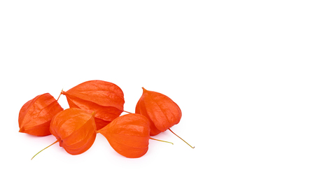 exotic fresh orange physalis isolated on white background. copy space, template.の写真素材