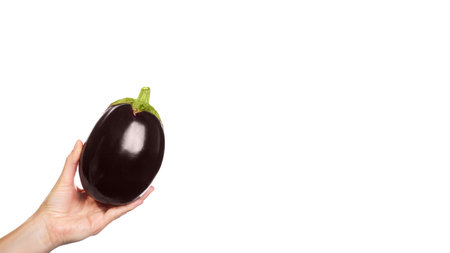 purple fresh organic eggplant in hand isolated on white background. copy space, template.の写真素材