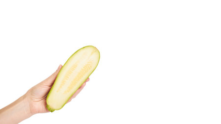 green fresh organic zucchini in hand isolated on white background. copy space, template.の写真素材