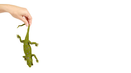 Silicone toy iguana in hand isolated on white background. Exotic animal game. copy space, template.の写真素材
