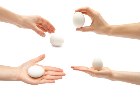 set of eggs, woman hand. Isolated on white background.の写真素材