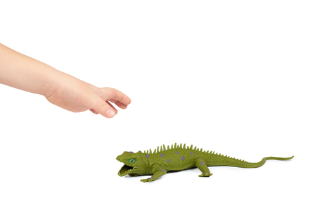 Green rubber lizard toy with kid hand, isolated on white background.の写真素材