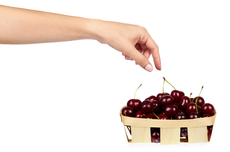 Sweet ripe cherry in package with hand isolated on white backgroundの写真素材