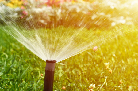 Automatic watering system for lawn and flowers in the city park, sunlight effect.の写真素材