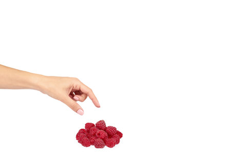 Organic fresh raspberry with hand isolated on a white background, copy space template