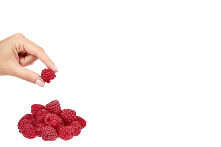 Organic fresh raspberry with hand isolated on a white background, copy space templateの写真素材