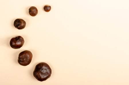 Flat lay concept of autumn, top view of chestnut on pastel beige background with copy space in minimal style, greeting card template.の写真素材