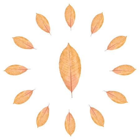 Close up of yellow autumn leaf background, clock composition.