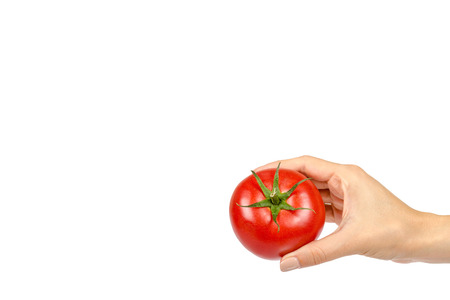 Fresh whole raw red tomato with green leaf and hand, isolated on white background, copy space template.の写真素材