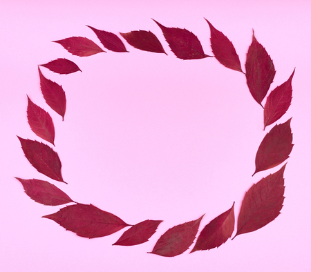 Leaves composition. Nature concept background. Flat lay and top view photo.の写真素材