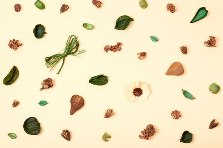 Leaves composition. Nature concept background. Flat lay and top view photoの写真素材