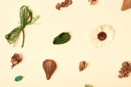 Leaves composition. Nature concept background. Flat lay and top view photoの写真素材