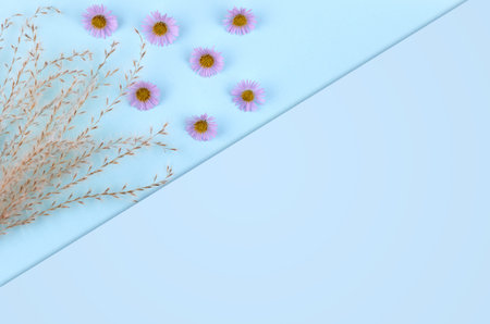 Leaves composition. Nature concept background. Flat lay and top view photo, copy space template