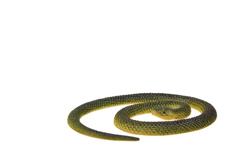 Fake green snake, rubber animal toy. Isolated on white background. Copy space. Copy spaceの写真素材
