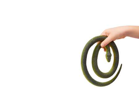 Kids hand with fake green snake, rubber animal toy. Isolated on white background. Copy spaceの写真素材